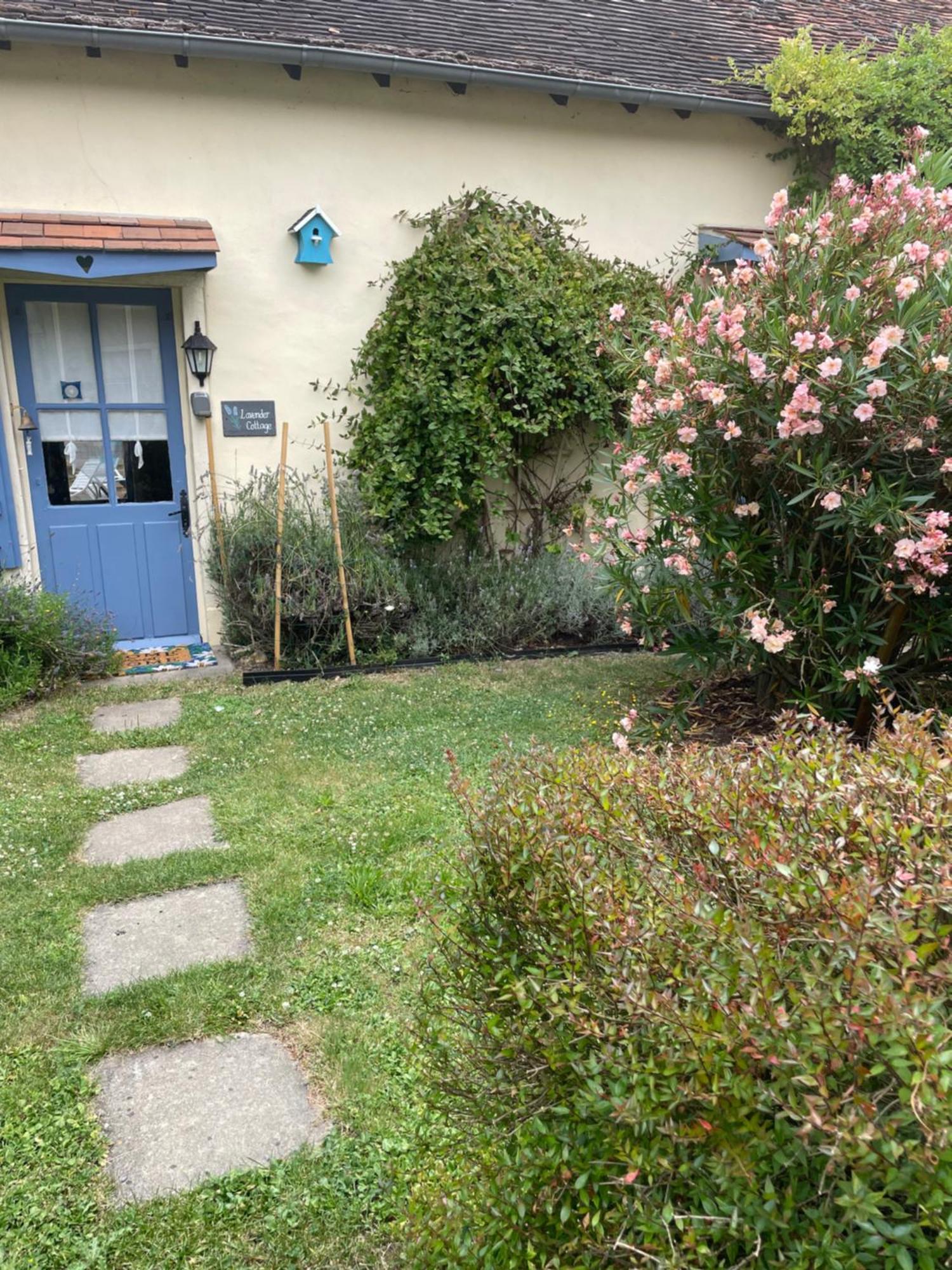 Lavender Cottage Chezelles  Ngoại thất bức ảnh